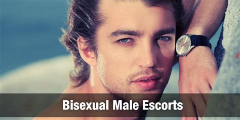 escorta masculina|Gay Escorts 